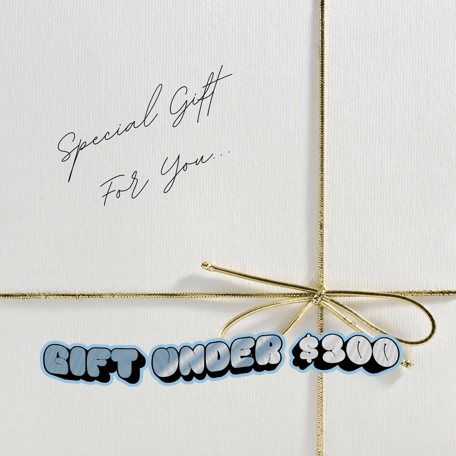 Gift Under $300