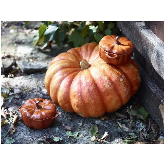 one pumpkins on a ground with leaves with the 2 pumpkin ceramic pot and rocks in the background