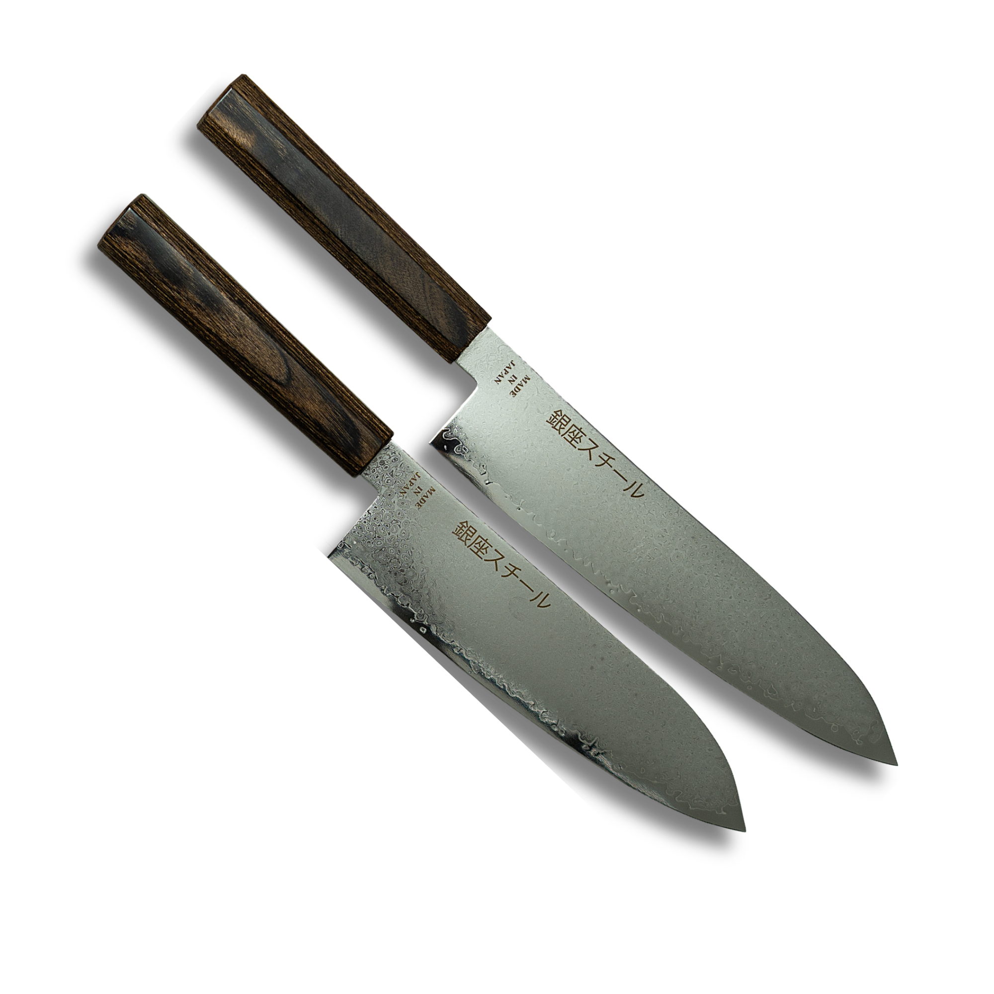 Ginza Steel Seiryū (青龍) Essential Chef’s Knife Duo