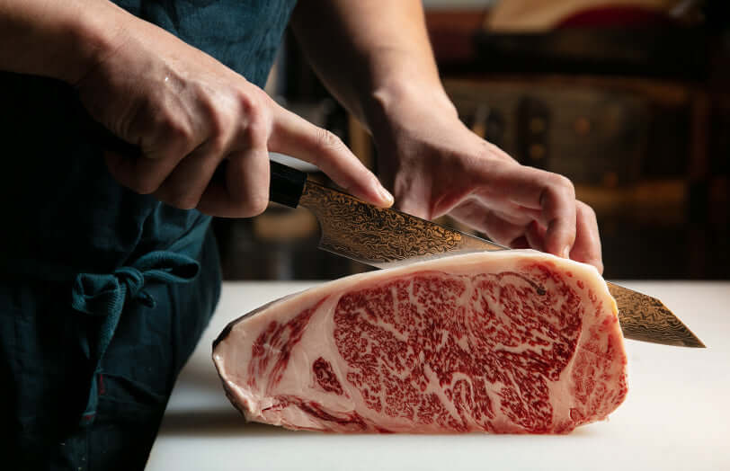 ZUIUN Japan | Handmade Gyuto Knife Damascus Steel 210mm