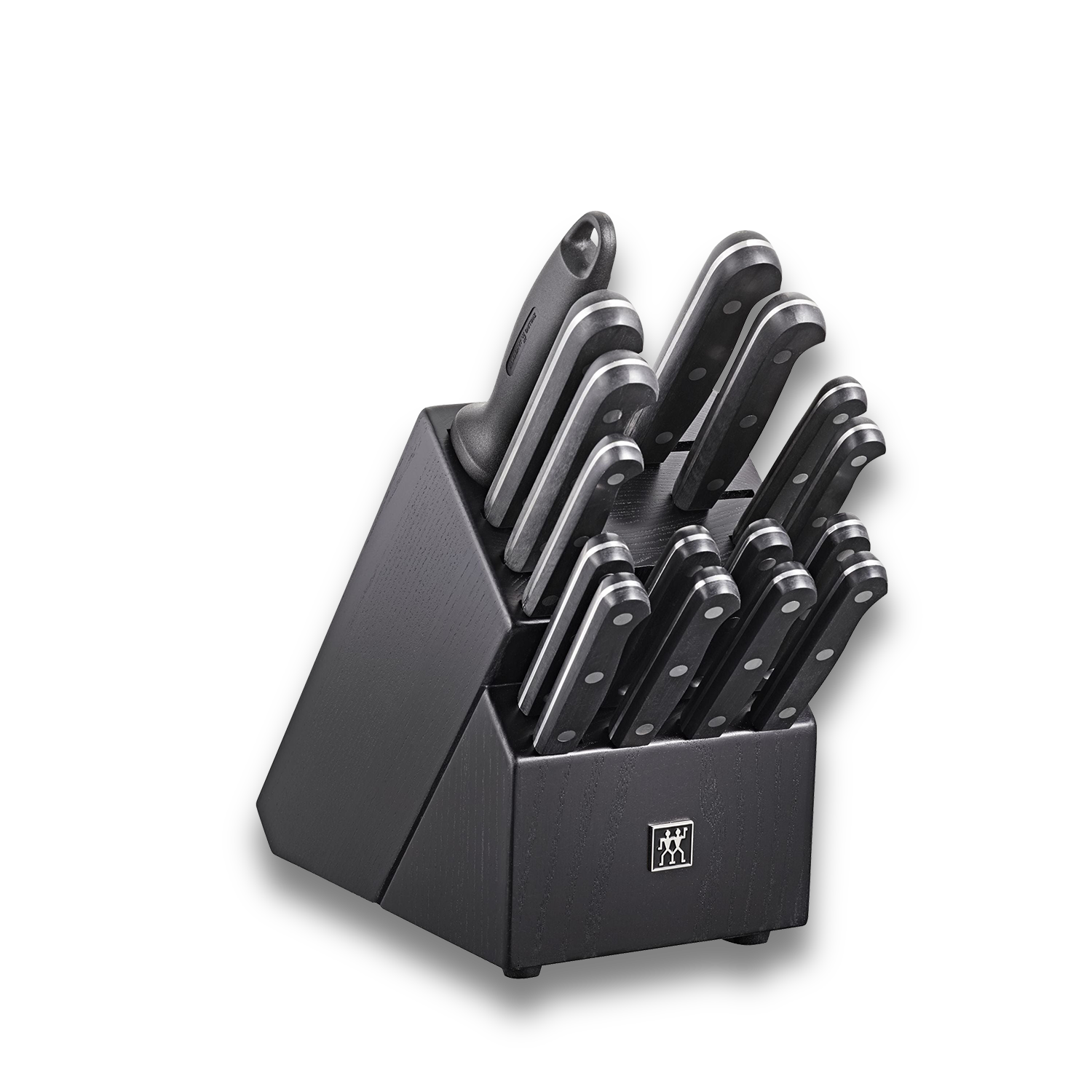 ZWILLING TWIN Gourmet 18 Piece Knife Block Set