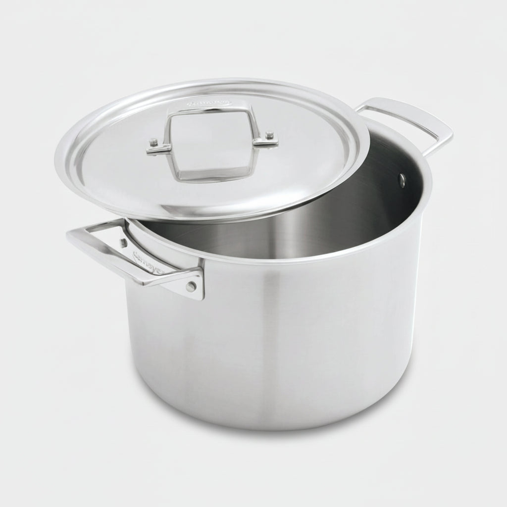 Stainless steel pot with lid on a white background